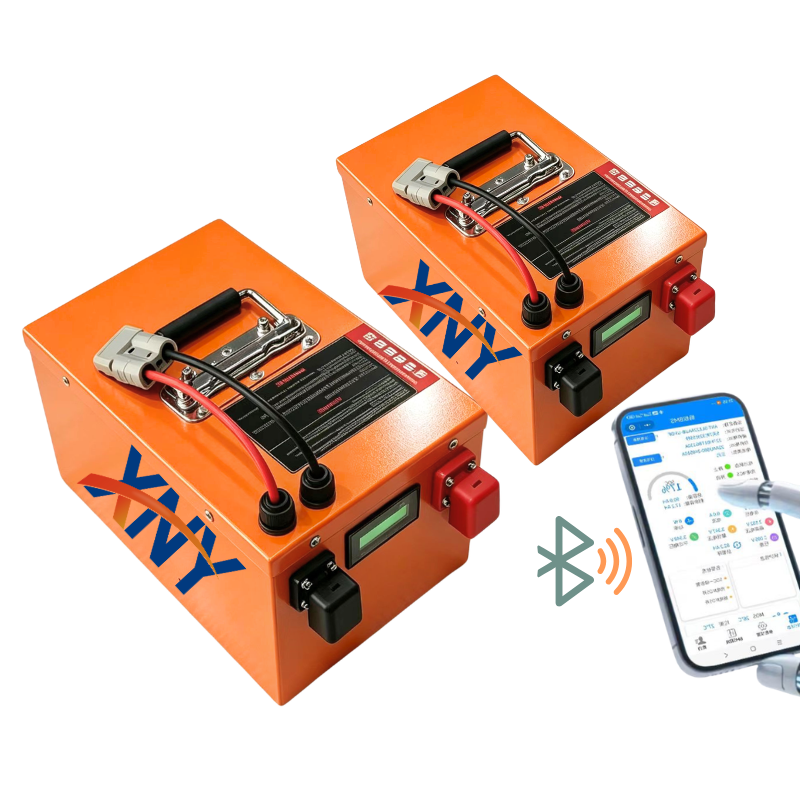 100Ah 60V 60Ah 80Ah 30Ah 60V 4 – 72V 60Ah Lifepo4 Battery Pack Bewertung und Preis